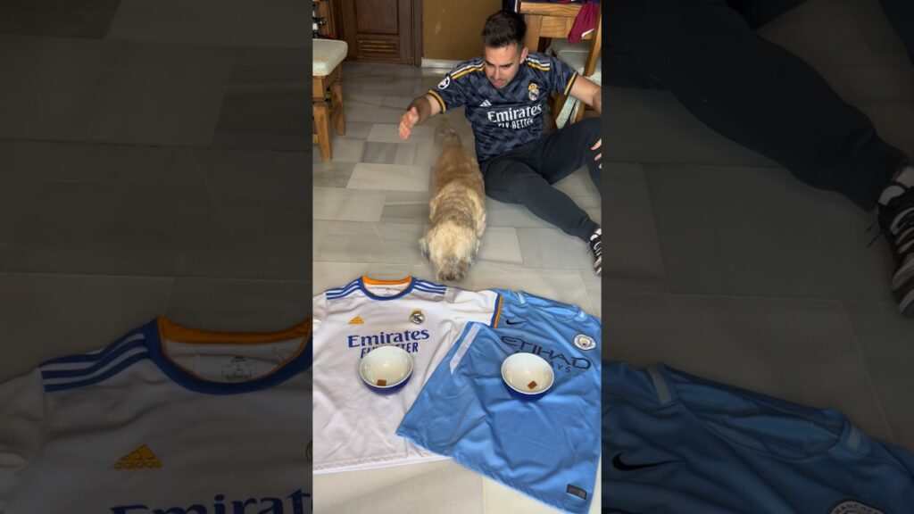 Mi Perro Predice que Equipos Pasan a Semifinales Champions League 2024